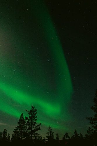 Northern lights in Finnish Lapland || Arctic Circle, Finland
