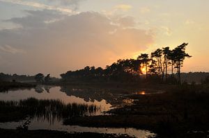 Zonsondergang bij het Vlasroot ven van Gonnie van de Schans