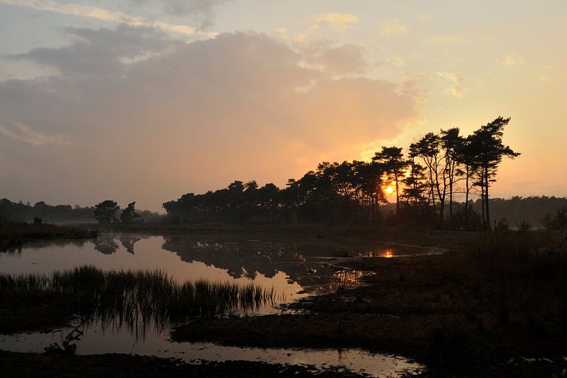 Sonnenuntergang am Vlasroot von Gonnie van de Schans