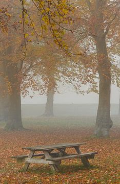Stilte in het park van Michel Knikker