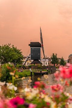 Leiden - Molen de Put turns orange (0074) by Reezyard