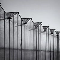 Kassen tuindersgebied Heemskerk - lijnenspel