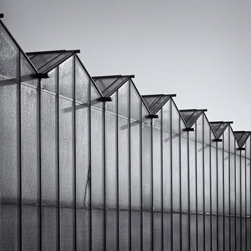 Kassen tuindersgebied Heemskerk - lijnenspel van Paul Beentjes