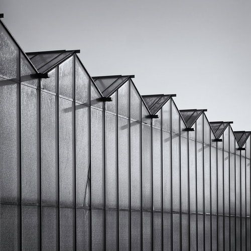 Gewächshäuser Gartenbaugebiet Heemskerk - Spiel der Linien von Paul Beentjes