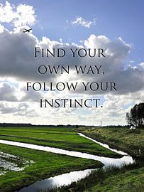 Find your own way