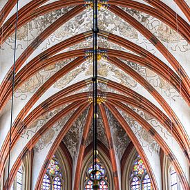 Die St. Johannis-Kathedrale in Den Bosch von Aad de Vogel