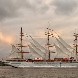 Segel der Sehnsucht – Sea Cloud Spirit auf der Elbe von Sabine Wagner