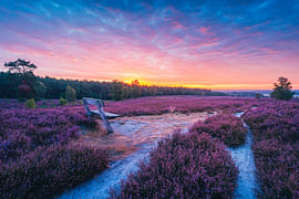 Heath Fireworks by Pure Moments Photographie
