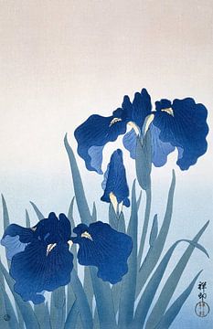 Iris, Ohara Koson