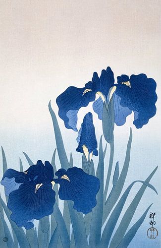 Irises, Ohara Koson