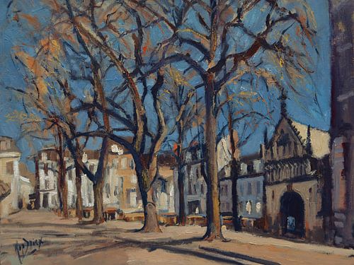 Winterdag in februari van Nop Briex