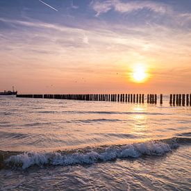 Ship passes the coast of Westkapelle during sunset by MSP Canvas
