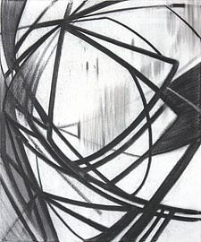 pioneering-s001-1__2009 von Hans Zantman