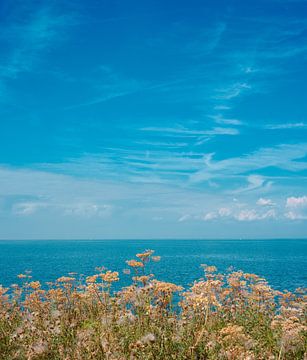 Island feeling van Peter Ligtvoet