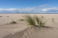 Nordseestrand von Jeroen Lagerwerf Miniaturansicht