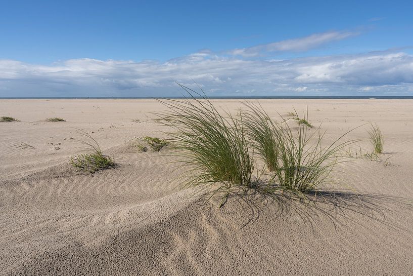 North Sea beach by Jeroen Lagerwerf