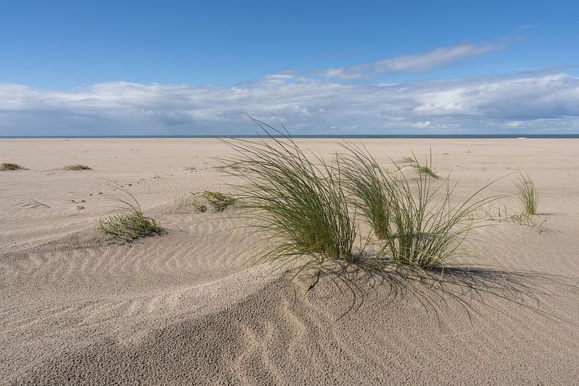 Nordseestrand von Jeroen Lagerwerf