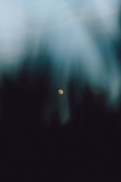 Mond im Kornfeld von Felix Winkelhausen