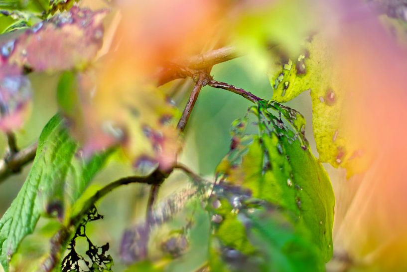 Autumn in Vondelpark in pastels by Marianna Pobedimova