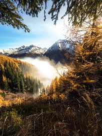 Gouden herfst in Zuid-Tirol van Thomas Weber BGL