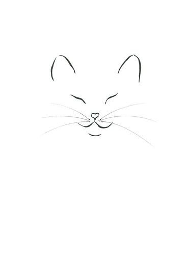 Purrfect Minimalism