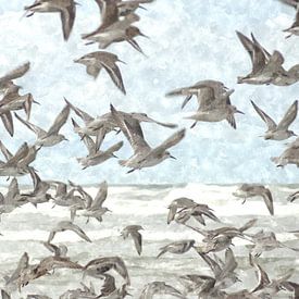 A Flock of Seagulls van Shutter Dreams