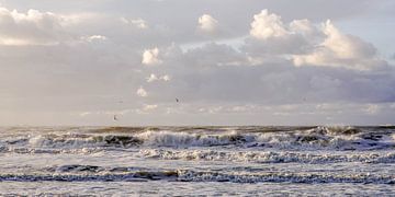 Wellen auf See von Dirk van Egmond