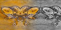 Weathered wood in close-up by Chris Stenger thumbnail