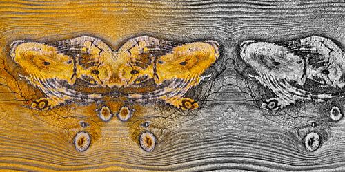 Verweerd hout in close-up