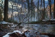 Rivier in de Eifel van Linda Lu thumbnail