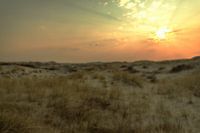 Paysage de dunes de Noordhollands