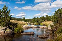 Cévennes Frankrijk