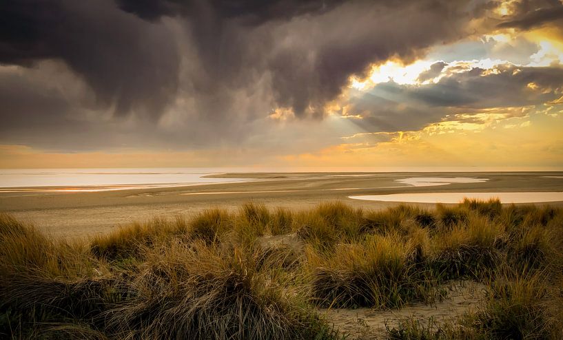 Strand und Dünen Maasvlakte von Marjolein van Middelkoop