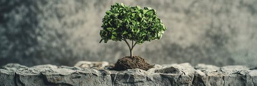 Bonsaivormige boom met papierbladeren panorama