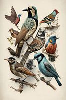 Collage Drawing Birds