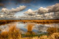 Wolken über dem Engbertsdijksvenen von Tom Kruissink Miniaturansicht