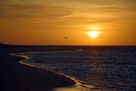 Oranje hemel van Frank's Awesome Travels