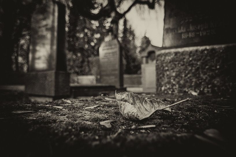 Friedhof von Johnny Flash