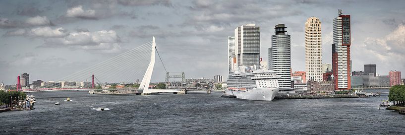 Erasmus-Brücke und Kop van Zuid in Rotterdam von Frans Lemmens