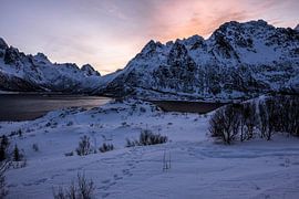 Sonnenaufgang auf den Lofoten von Julia Schellig