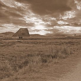 Schapenboet in het landschap in sepia van Jose Lok