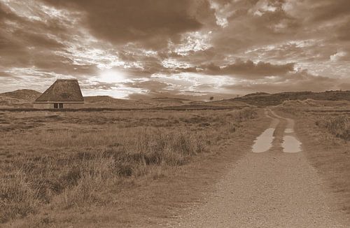 Sheep pen in sepia landscape