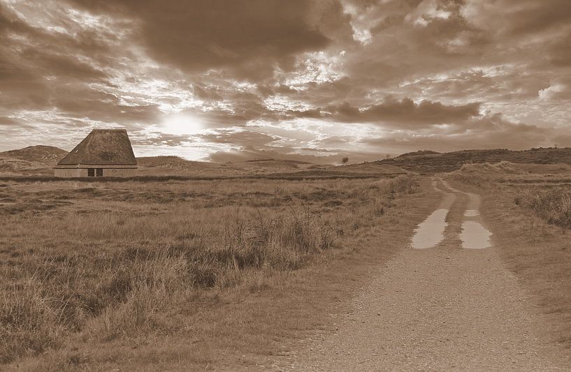 Schapenboet in het landschap in sepia van Jose Lok