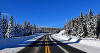 A country road in winter by Claude Laprise thumbnail