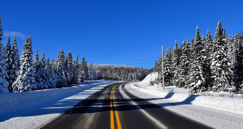 A country road in winter by Claude Laprise