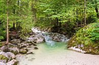 Ramsauer Ache im Zauberwald im Berchtesgadener Land von Rico Ködder Miniaturansicht