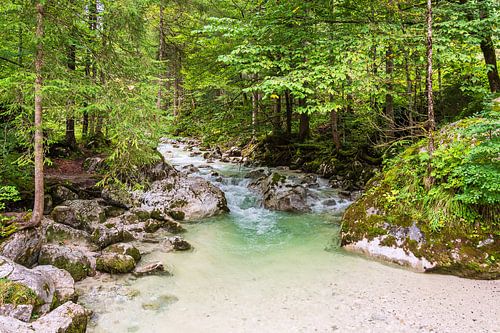 Ramsauer Ache in the magic forest in the Berchtesgadener Land