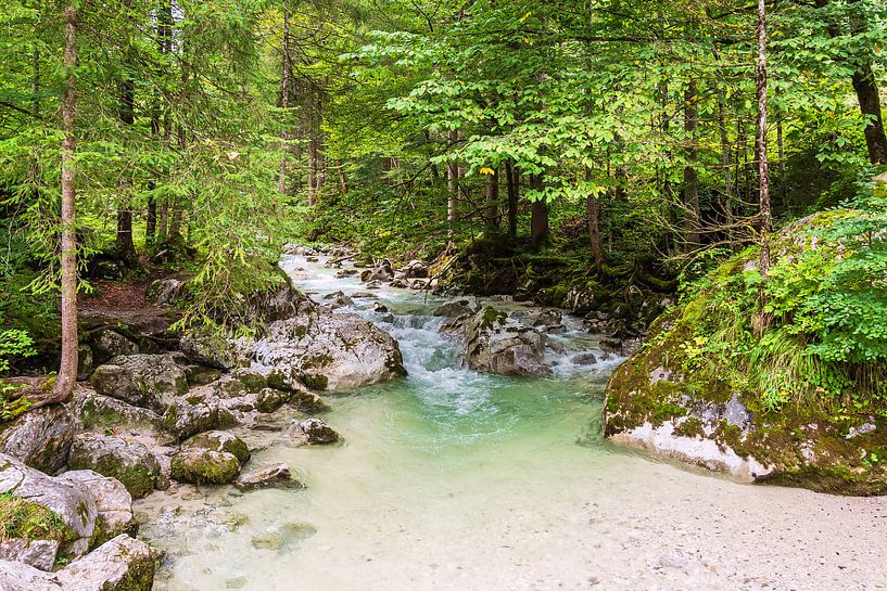 Ramsauer Ache im Zauberwald im Berchtesgadener Land von Rico Ködder