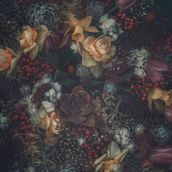 Daffodils&amp;Succulents by Marina de Wit