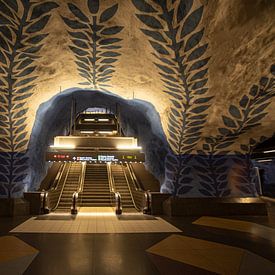 Metrostation in Stockholm Delfsblauw by Wouter Putter Rawbird photos van Rawbird Photo's Wouter Putter